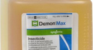 Effective Pest Control with Syngenta Demon Max: Reviews & Recommendations