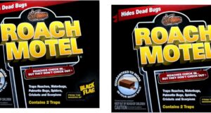 Eliminate Pests Fast: Black Flag Roach Motel Trap Review