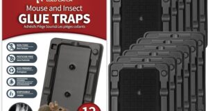 LULUCATCH 12-Pack Sticky Traps: The Ultimate Pet-Safe Pest Control Solution!