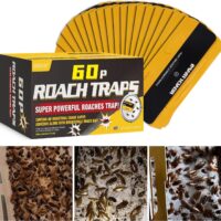 Say Goodbye to Cockroaches: The Ultimate 60 Pack Roach Trap Review!
