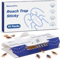 Say Goodbye to Creepy Crawlies: Review of Roach Sticky Traps Indoor 10 Pack
