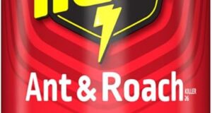 Say Goodbye to Pests: Review of Raid Ant & Roach Aerosol Bug Spray