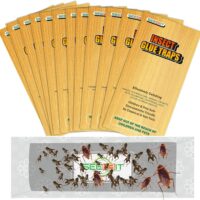 Ultimate Insect Solution: Review of 30 PCS Super Sticky Cricket Traps