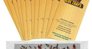 Ultimate Insect Solution: Review of 30 PCS Super Sticky Cricket Traps