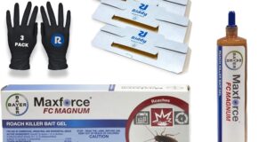 Ultimate Roach Buster: Bayer Maxforce FC Magnum Gel and Essential Trap Kit Reviewed!