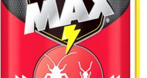 Unleash the Power of Raid Max: The Ultimate Ant and Roach Defense!