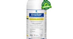 AgroMagen GrowSafe: The Ultimate Organic Pest Solution Reviewed!