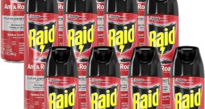 Defend Your Home: Honest Review of Raid Ant & Roach Killer with Outdoor Fresh Scent