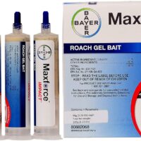 Effectively Tackle Roaches: A Review of Bayer Maxforce Impact Roach Bait Gel